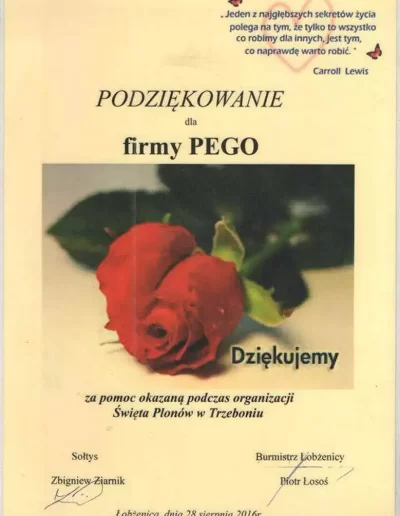 podziękowanie dla PEGO